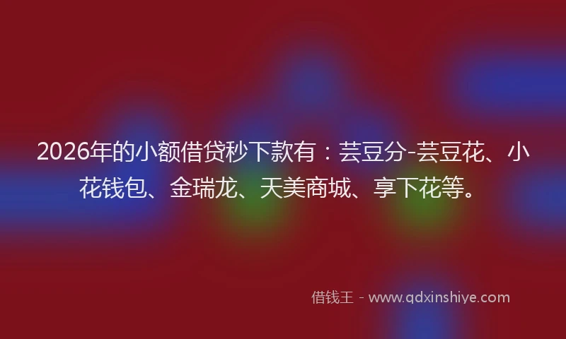 2026年的小额借贷秒下款有：芸豆分-芸豆花、小花钱包、金瑞龙、天美商城、享下花等。