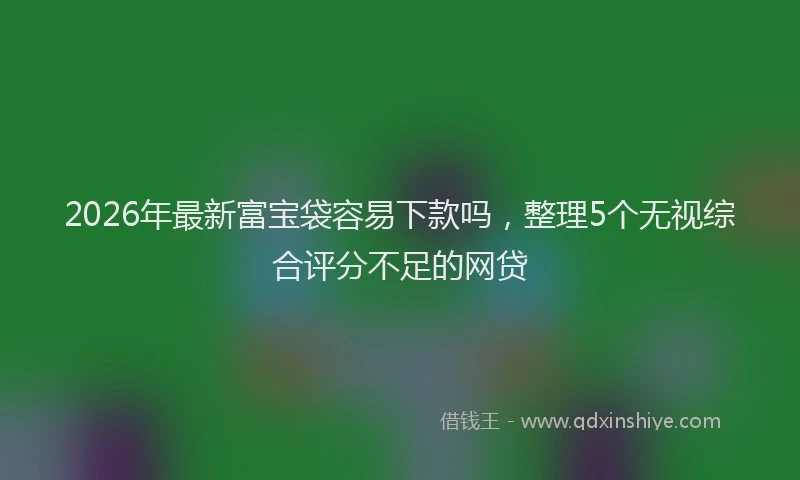 2026年最新富宝袋容易下款吗，整理5个无视综合评分不足的网贷