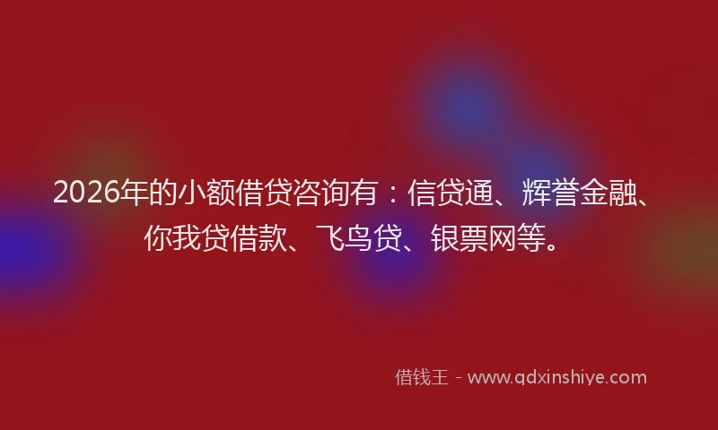 2026年的小额借贷咨询有：信贷通、辉誉金融、你我贷借款、飞鸟贷、银票网等。
