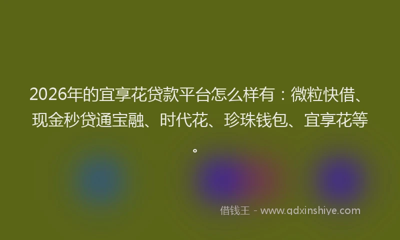 2026年的宜享花贷款平台怎么样有：微粒快借、现金秒贷通宝融、时代花、珍珠钱包、宜享花等。