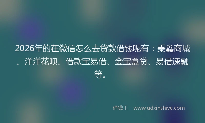 2026年的在微信怎么去贷款借钱呢有：秉鑫商城、洋洋花呗、借款宝易借、金宝盒贷、易借速融等。