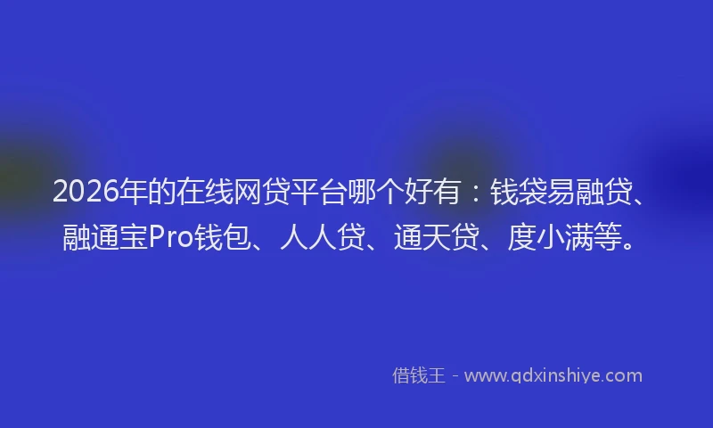 2026年的在线网贷平台哪个好有:钱袋易融贷、融通宝Pro钱包、人人贷、通天贷、度小满等。