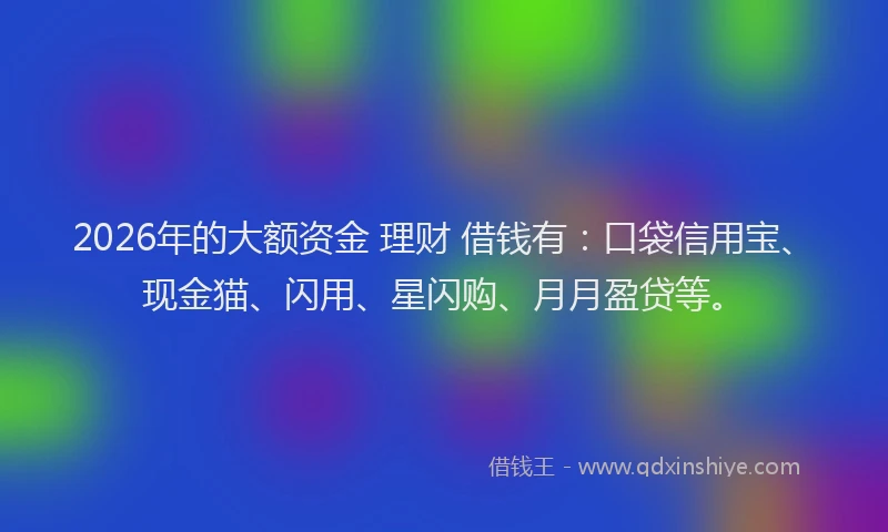2026年的大额资金 理财 借钱有：口袋信用宝、现金猫、闪用、星闪购、月月盈贷等。