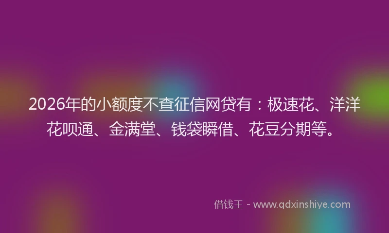 2026年的小额度不查征信网贷有：极速花、洋洋花呗通、金满堂、钱袋瞬借、花豆分期等。