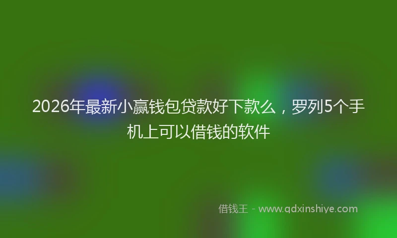 2026年最新小赢钱包贷款好下款么，罗列5个手机上可以借钱的软件
