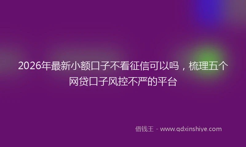 2026年最新小额口子不看征信可以吗，梳理五个网贷口子风控不严的平台