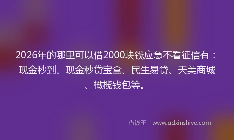 2026年的哪里可以借2000块钱应急不看征信有:现金秒到、现金秒贷宝盒、民生易贷、天美商城、橄榄钱包等。