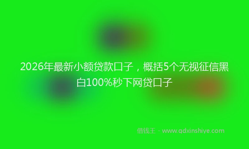 2026年最新小额贷款口子，概括5个无视征信黑白100%秒下网贷口子