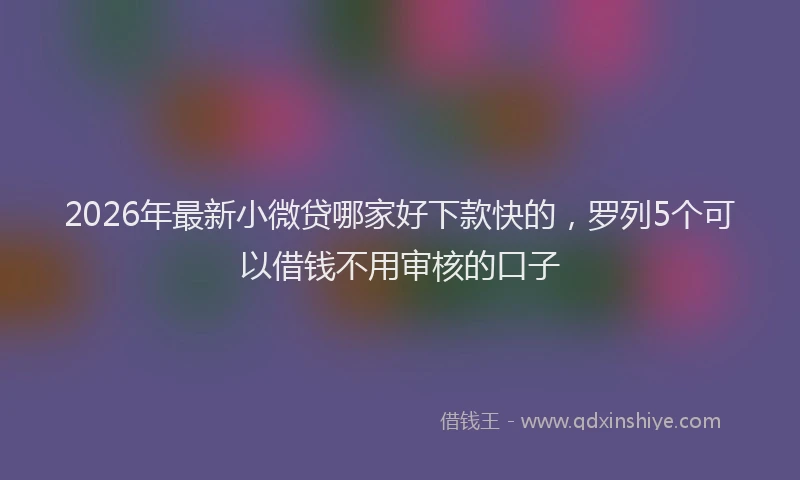 2026年最新小微贷哪家好下款快的，罗列5个可以借钱不用审核的口子