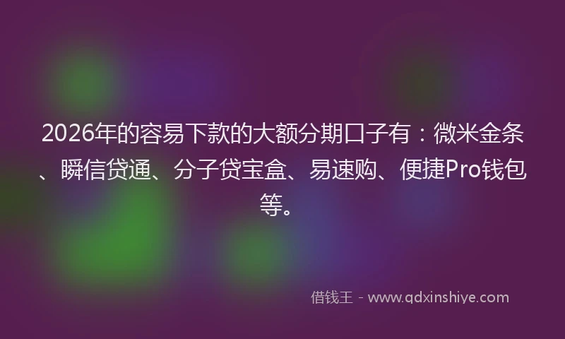 2026年的容易下款的大额分期口子有：微米金条、瞬信贷通、分子贷宝盒、易速购、便捷Pro钱包等。
