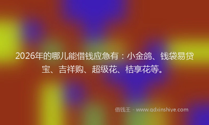 2026年的哪儿能借钱应急有:小金鸽、钱袋易贷宝、吉祥购、超级花、桔享花等。