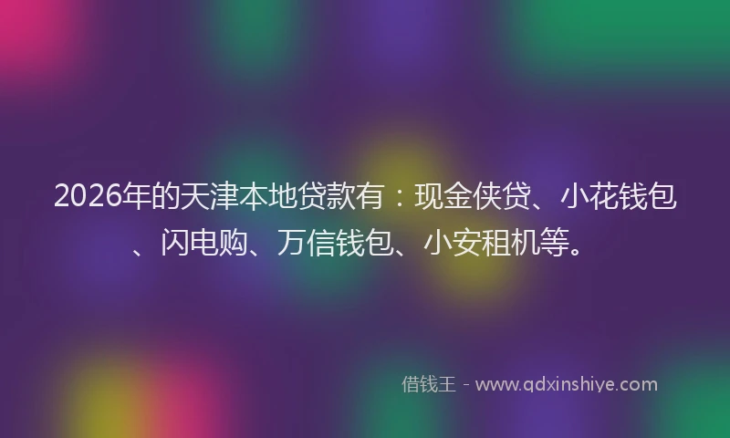 2026年的天津本地贷款有：现金侠贷、小花钱包、闪电购、万信钱包、小安租机等。
