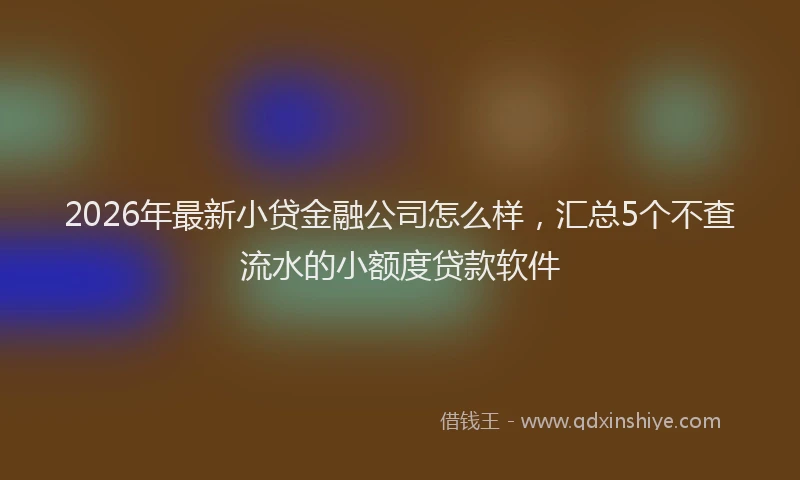 2026年最新小贷金融公司怎么样，汇总5个不查流水的小额度贷款软件