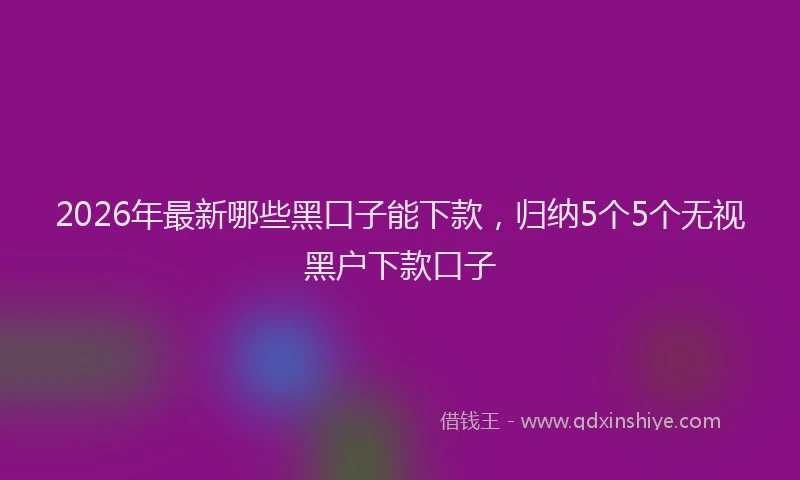 2026年最新哪些黑口子能下款,归纳5个5个无视黑户下款口子