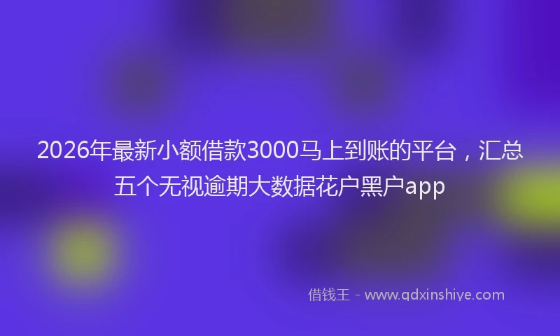2026年最新小额借款3000马上到账的平台，汇总五个无视逾期大数据花户黑户app
