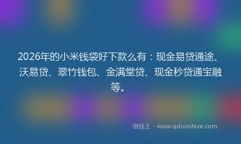 2026年的小米钱袋好下款么有：现金易贷通途、沃易贷、翠竹钱包、金满堂贷、现金秒贷通宝融等。