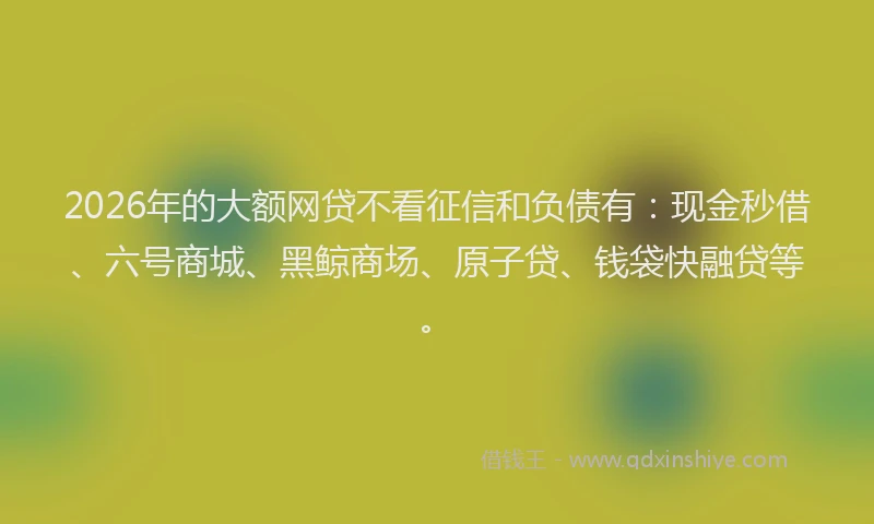 2026年的大额网贷不看征信和负债有：现金秒借、六号商城、黑鲸商场、原子贷、钱袋快融贷等。