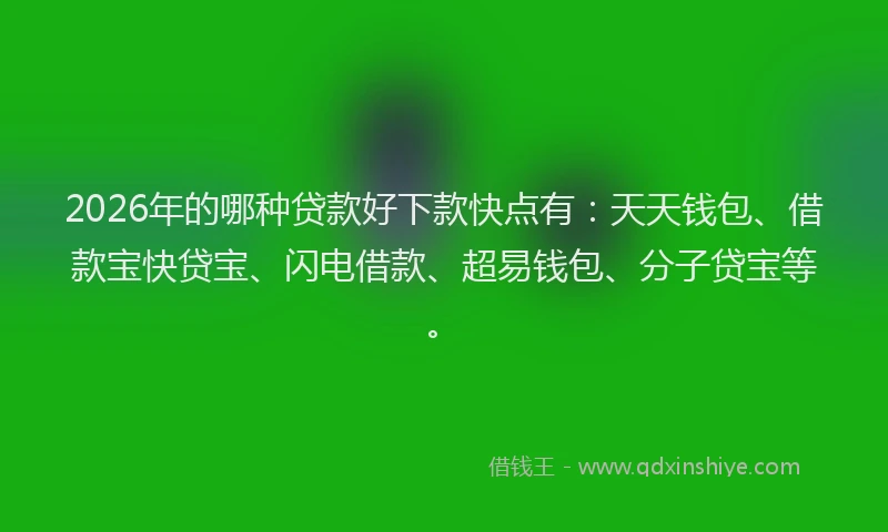 2026年的哪种贷款好下款快点有:天天钱包、借款宝快贷宝、闪电借款、超易钱包、分子贷宝等。
