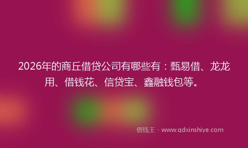 2026年的商丘借贷公司有哪些有:甄易借、龙龙用、借钱花、信贷宝、鑫融钱包等。