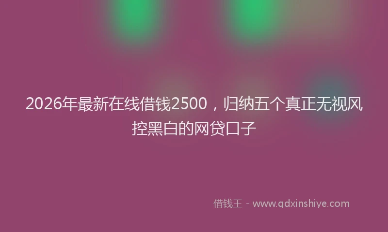 2026年最新在线借钱2500,归纳五个真正无视风控黑白的网贷口子
