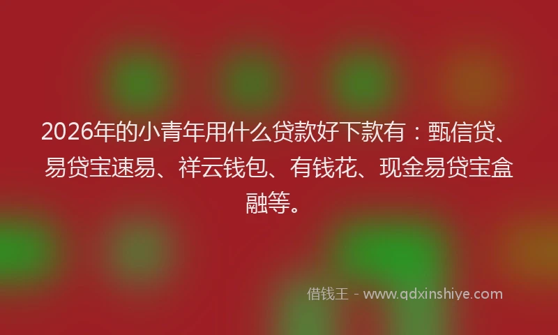 2026年的小青年用什么贷款好下款有：甄信贷、易贷宝速易、祥云钱包、有钱花、现金易贷宝盒融等。