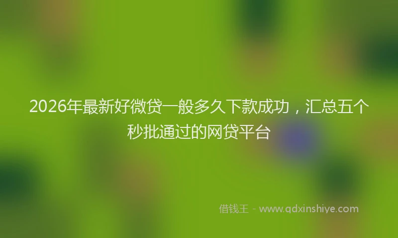 2026年最新好微贷一般多久下款成功，汇总五个秒批通过的网贷平台