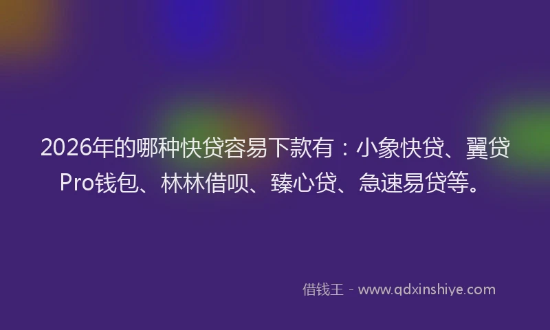 2026年的哪种快贷容易下款有：小象快贷、翼贷Pro钱包、林林借呗、臻心贷、急速易贷等。
