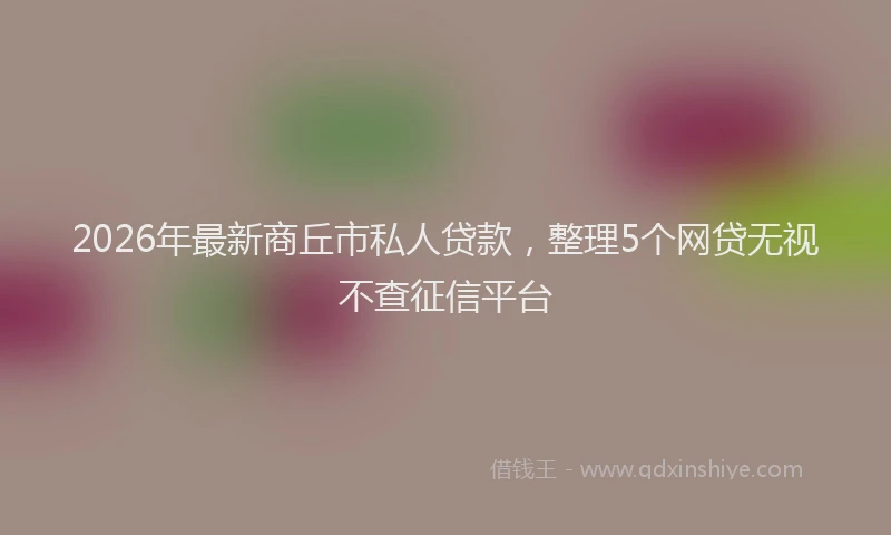 2026年最新商丘市私人贷款，整理5个网贷无视不查征信平台