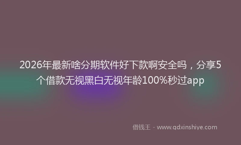 2026年最新啥分期软件好下款啊安全吗，分享5个借款无视黑白无视年龄100%秒过app