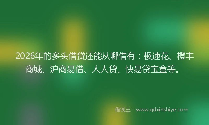 2026年的多头借贷还能从哪借有：极速花、橙丰商城、沪商易借、人人贷、快易贷宝盒等。