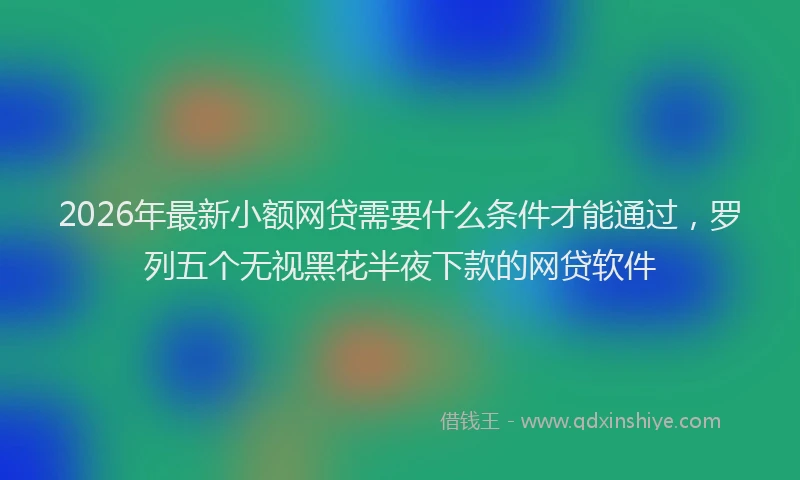 2026年最新小额网贷需要什么条件才能通过，罗列五个无视黑花半夜下款的网贷软件
