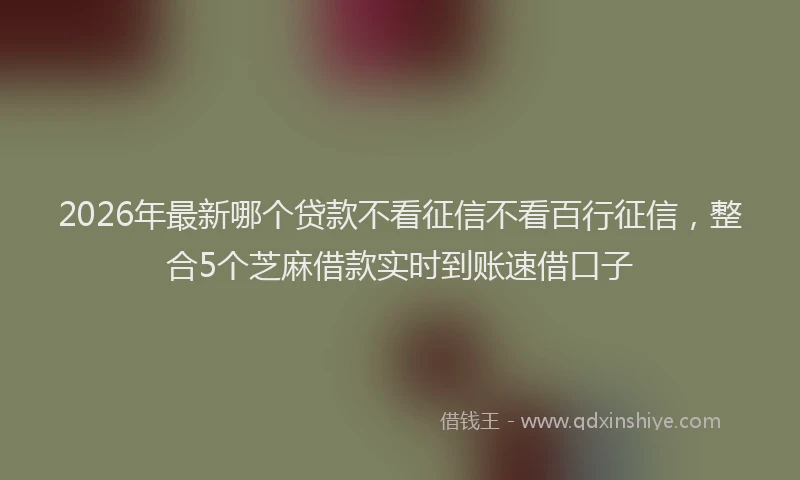 2026年最新哪个贷款不看征信不看百行征信,整合5个芝麻借款实时到账速借口子