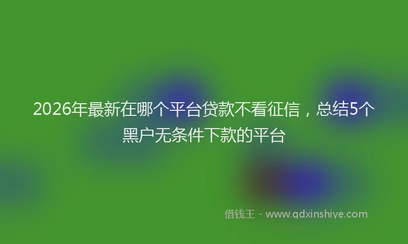 2026年最新在哪个平台贷款不看征信，总结5个黑户无条件下款的平台