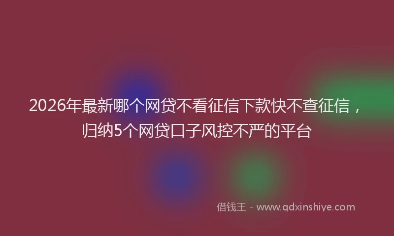 2026年最新哪个网贷不看征信下款快不查征信，归纳5个网贷口子风控不严的平台