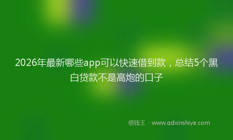 2026年最新哪些app可以快速借到款，总结5个黑白贷款不是高炮的口子