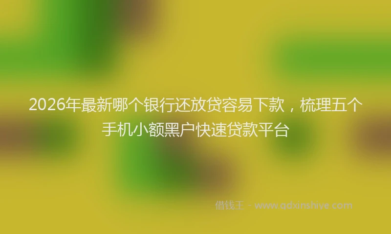 2026年最新哪个银行还放贷容易下款，梳理五个手机小额黑户快速贷款平台