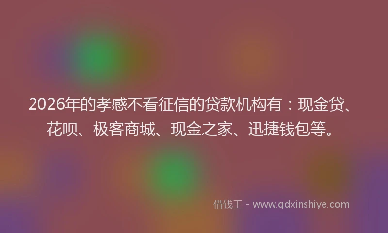 2026年的孝感不看征信的贷款机构有：现金贷、花呗、极客商城、现金之家、迅捷钱包等。