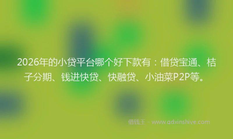 2026年的小贷平台哪个好下款有：借贷宝通、桔子分期、钱进快贷、快融贷、小油菜P2P等。