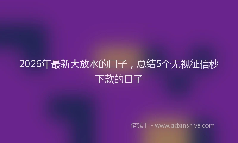 2026年最新大放水的口子，总结5个无视征信秒下款的口子