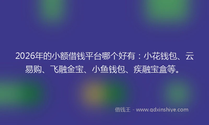 2026年的小额借钱平台哪个好有：小花钱包、云易购、飞融金宝、小鱼钱包、疾融宝盒等。