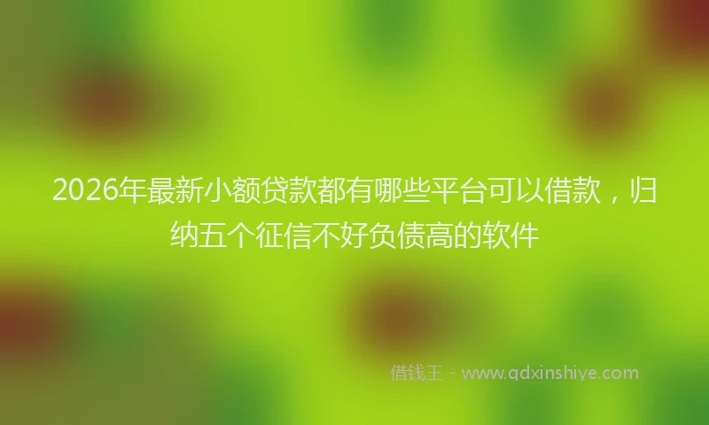 2026年最新小额贷款都有哪些平台可以借款，归纳五个征信不好负债高的软件
