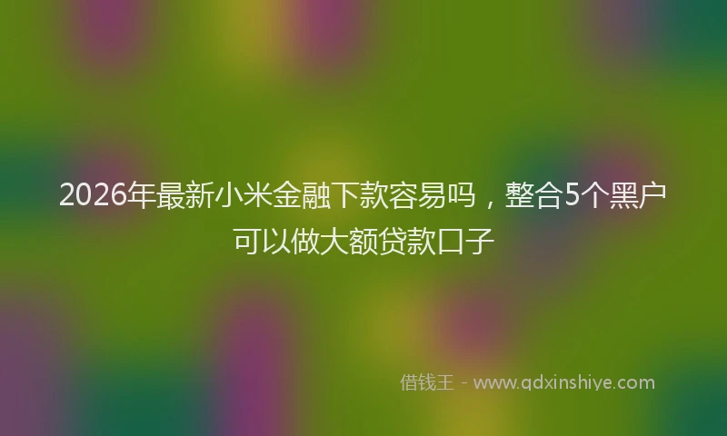2026年最新小米金融下款容易吗，整合5个黑户可以做大额贷款口子