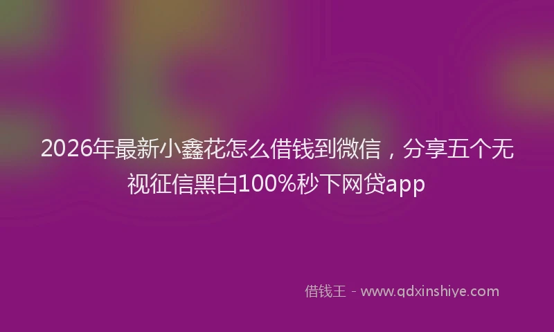 2026年最新小鑫花怎么借钱到微信，分享五个无视征信黑白100%秒下网贷app