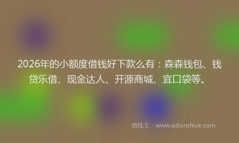 2026年的小额度借钱好下款么有：森森钱包、钱贷乐借、现金达人、开源商城、宜口袋等。
