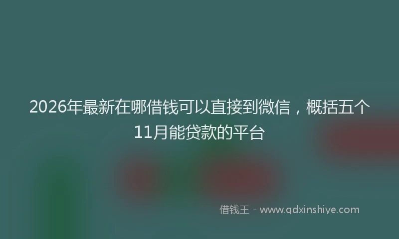 2026年最新在哪借钱可以直接到微信，概括五个11月能贷款的平台