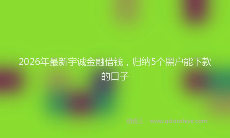 2026年最新宇诚金融借钱，归纳5个黑户能下款的口子