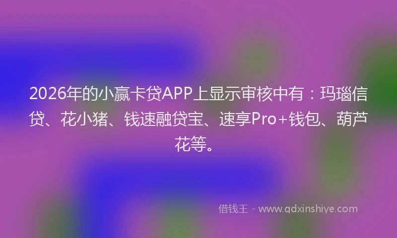 2026年的小赢卡贷APP上显示审核中有：玛瑙信贷、花小猪、钱速融贷宝、速享Pro+钱包、葫芦花等。