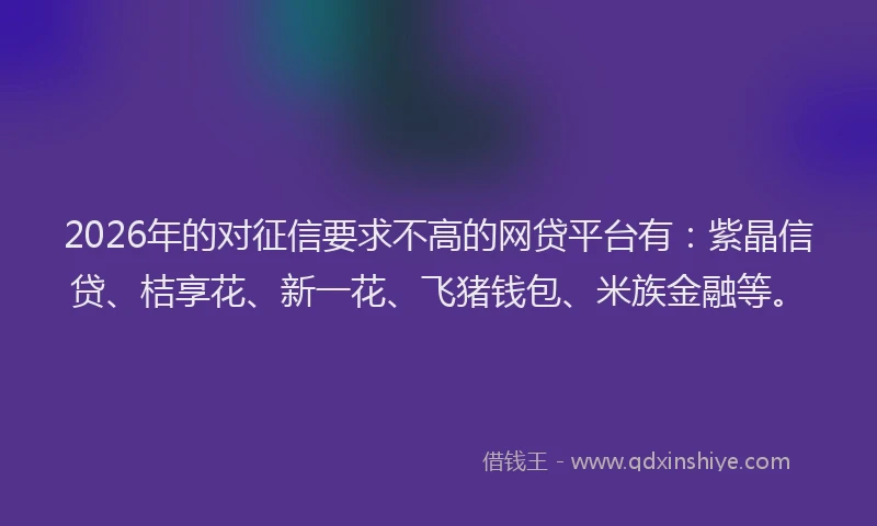 2026年的对征信要求不高的网贷平台有：紫晶信贷、桔享花、新一花、飞猪钱包、米族金融等。