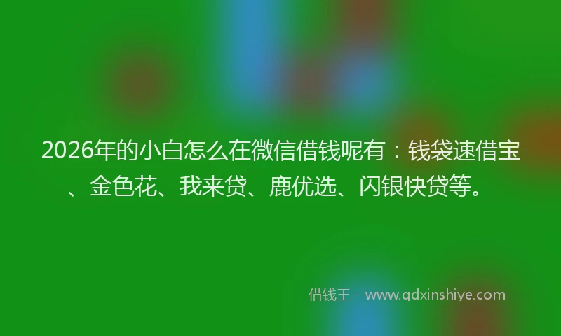 2026年的小白怎么在微信借钱呢有：钱袋速借宝、金色花、我来贷、鹿优选、闪银快贷等。