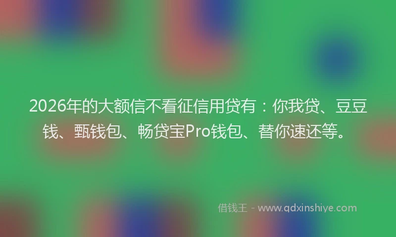 2026年的大额信不看征信用贷有：你我贷、豆豆钱、甄钱包、畅贷宝Pro钱包、替你速还等。